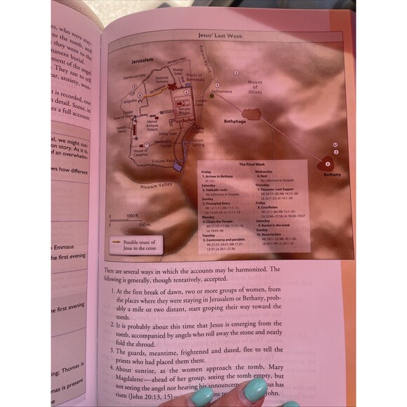 Halley's Bible Handbook, Deluxe Edition: Completely Revised and Expanded Edition - Picture 9 of 9